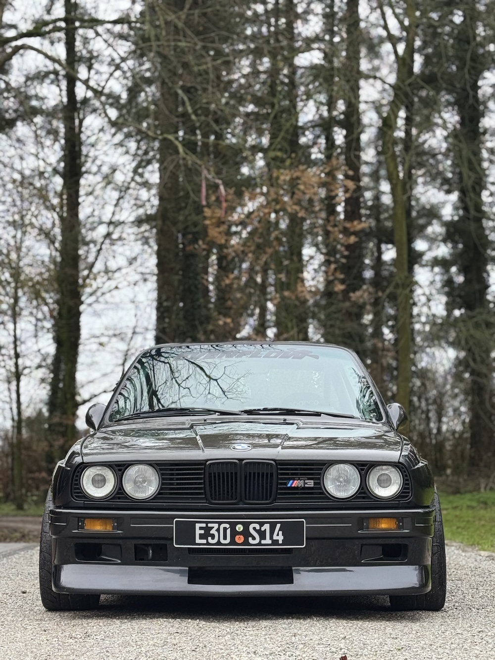 BMW E30 ICONS - Image 10