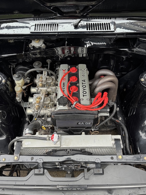 Super Q Spring Bundle - Image 16