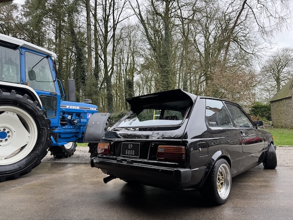 Super Q Spring Bundle - Image 2