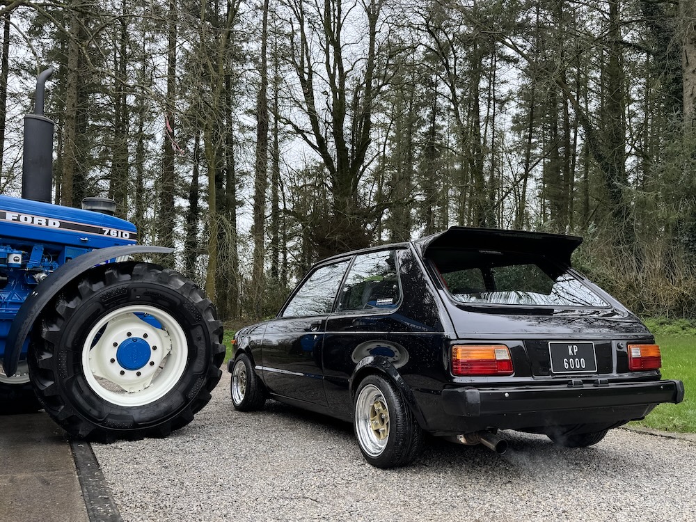 Super Q Spring Bundle - Image 8